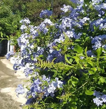 Nereides * Agios Gordios (Corfu)